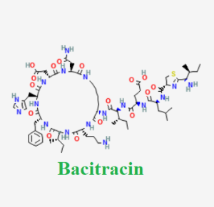 Cấu trúc hóa học của dược chất Bacitracin (Bacitracin A chemical)
