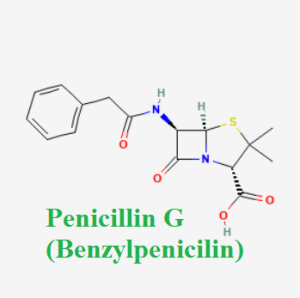 cấu trúc hóa học của dược chất Benzylpenicillin (Penicillin G chemical)