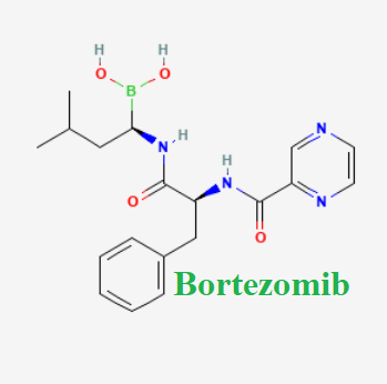 cấu trúc hóa học của dược chất Bortezomib (Bortezomib chemical)