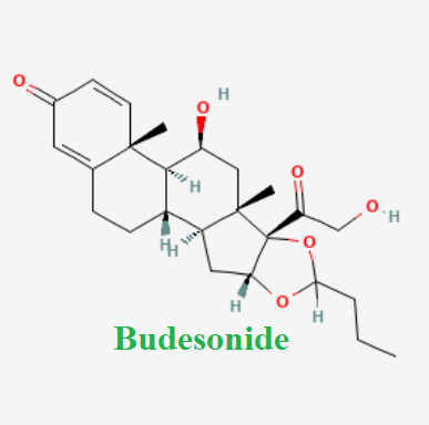 cấu trúc hóa học của dược chất Budesonide (Budesonide chemical)