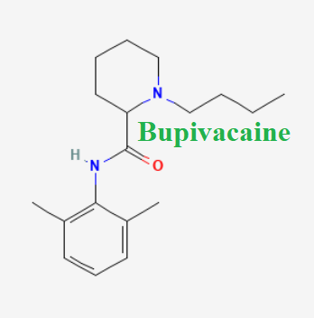 cấu trúc hóa học của dược chất Bupivacaine (Bupivacaine chemical)