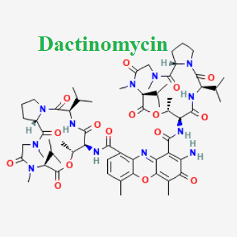 Cấu trúc hóa học của dược chất Dactinomycin (Dactinomycin chemical)