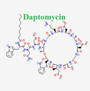 cấu trúc hóa học của dược chất Daptomycin (Daptomycin chemicaL)