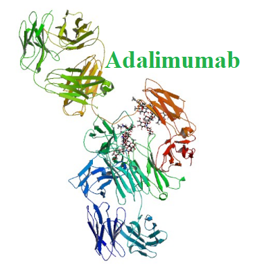 Cấu tạo hóa học Adalimumab (Adalimumab chemical)
