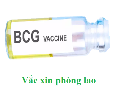 HÌnh ảnh minh họa: Vắc xin phòng lao (BCG vắc xin)