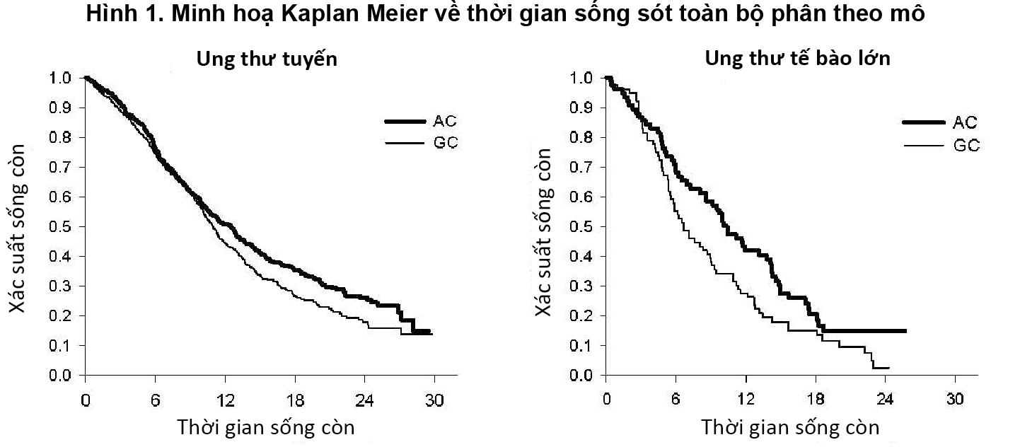 Image from Drug Label Content