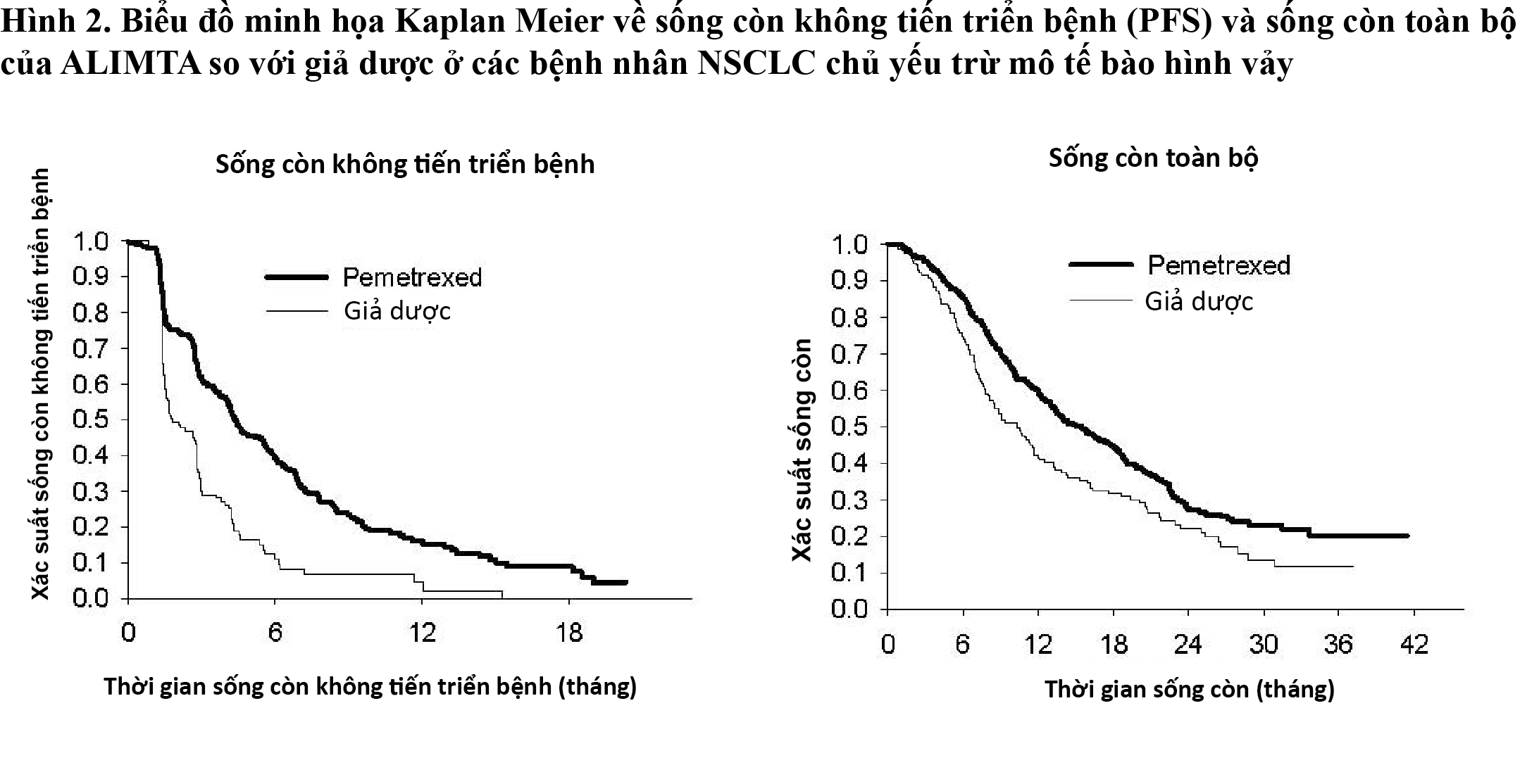 Image from Drug Label Content