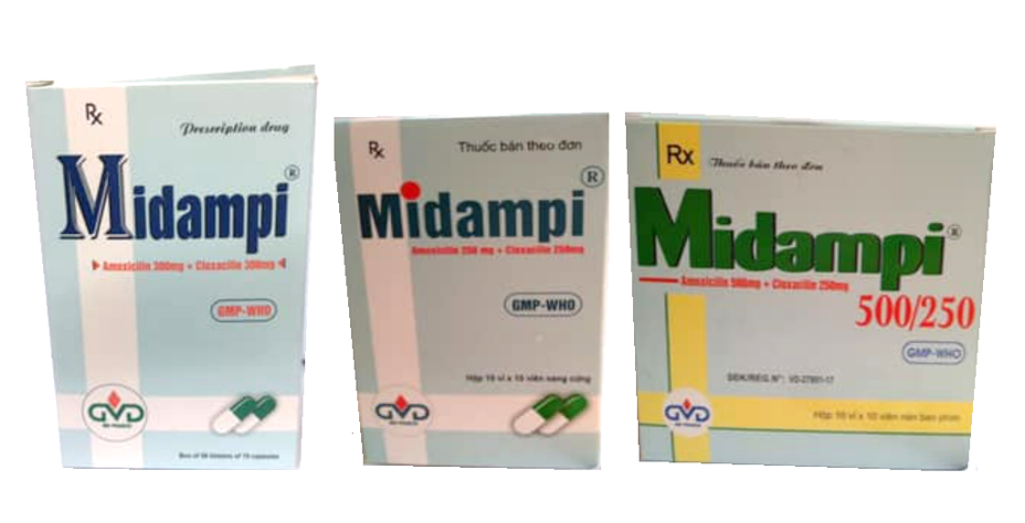 Midampi (Amoxicillin + Cloxacillin)