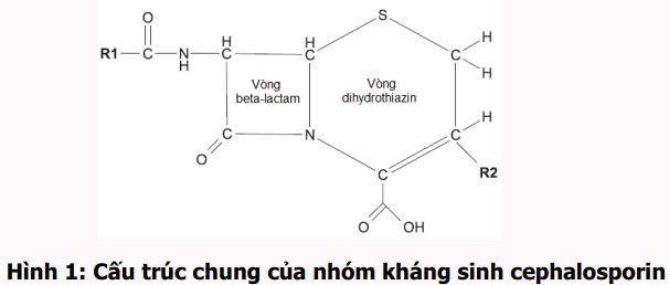 http://magazine.canhgiacduoc.org.vn/Uploads/Tinymce/BanTin4.2018/Hinh1.Bai1.So4.2018.png