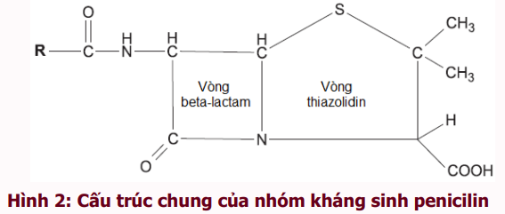 http://magazine.canhgiacduoc.org.vn/Uploads/Tinymce/BanTin4.2018/Hinh2.Bai1.So4.2018.png