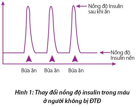 http://magazine.canhgiacduoc.org.vn/Uploads/Tinymce/anh1.jpg