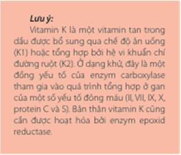 http://magazine.canhgiacduoc.org.vn/Uploads/Tinymce/a1-b1.JPG