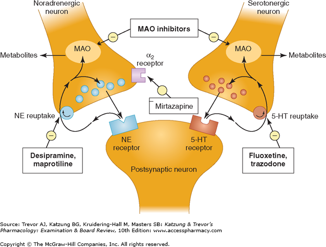 Kết quả hình ảnh cho antidepressant drug mechanism