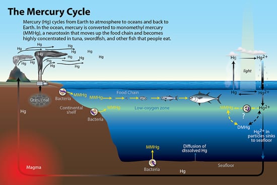 Kết quả hình ảnh cho mercury cycle