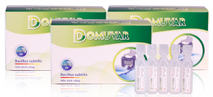 Domuvar (Bacillus subtilis)