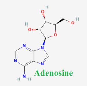 Cấu trúc hóa học của Adenosine (Adenosine chemical)
