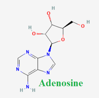 Cấu trúc hóa học của Adenosine (Adenosine chemical)