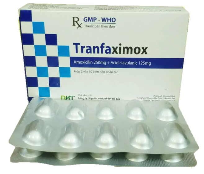 Tranfaximox (Amoxicillin + Clavulanate)
