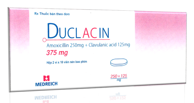 Duclacin 375 (Amoxicillin + Clavulanate)