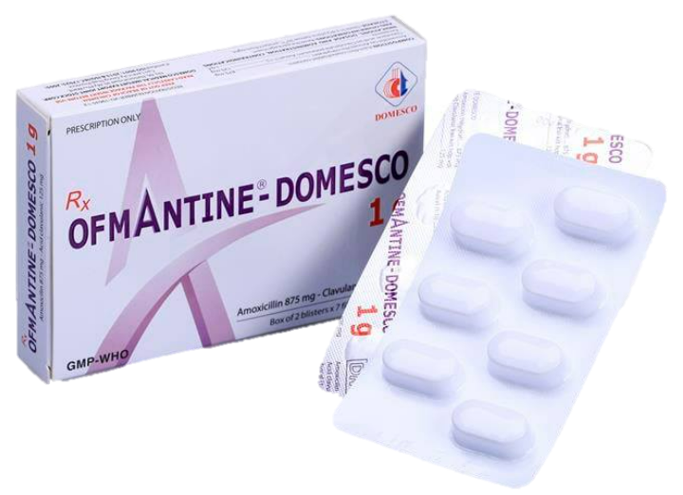 Ofmantine - Domesco 1g (Amoxicillin + Clavulanate)