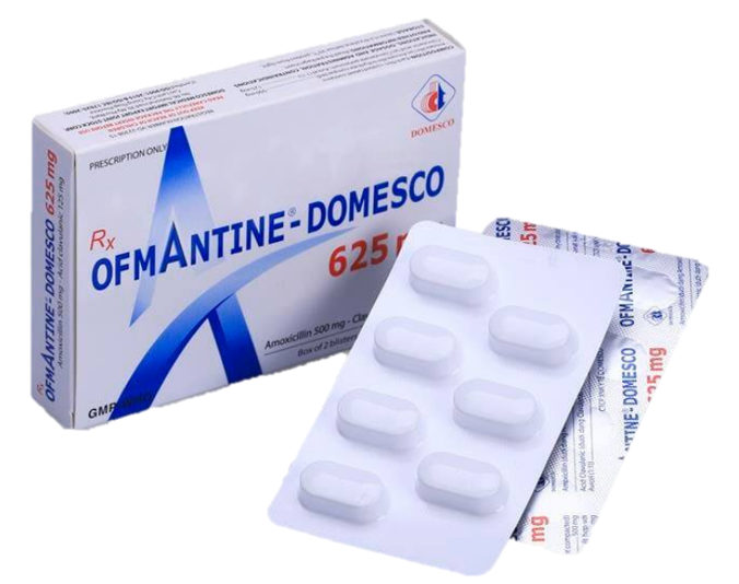 Ofmantine - Domesco 625 mg (Amoxicillin + Clavulanate)
