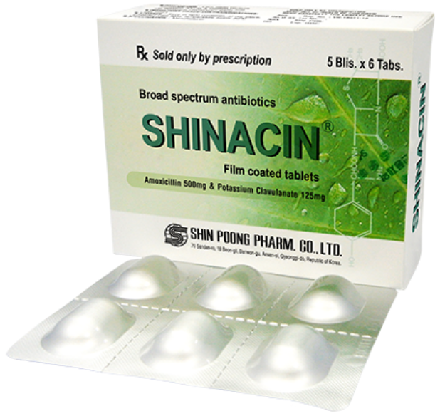 Shinacin (Amoxicillin + Clavulanate)