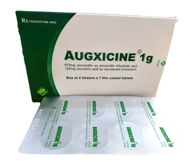 Augxicine 1g (Amoxicillin + Clavulanate)
