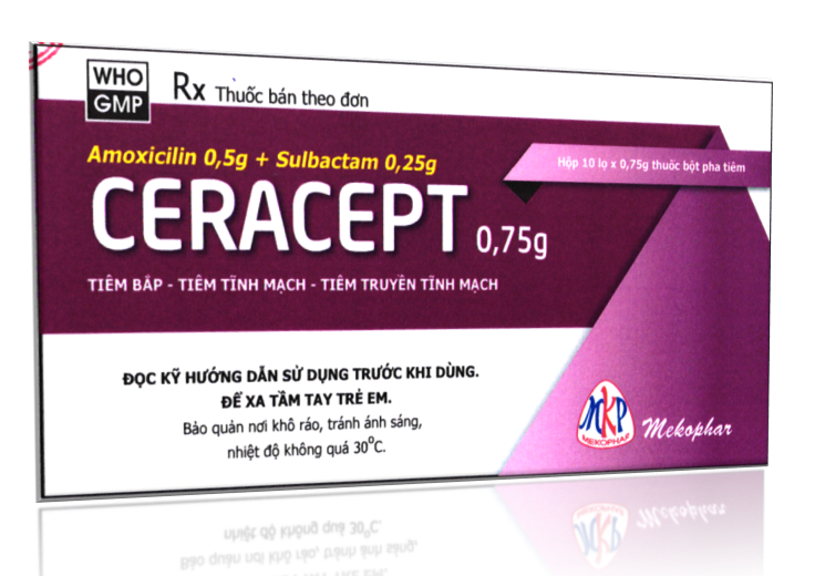 Ceracept 0,75g (Amoxicillin + Sulbactam)