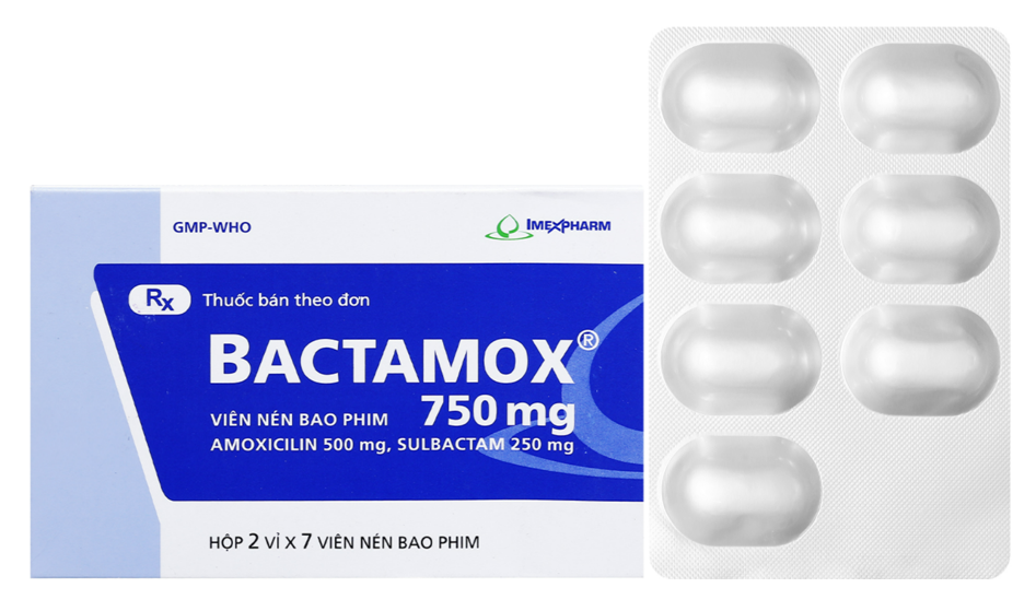 Bactamox 750mg (Amoxicillin + Sulbactam)