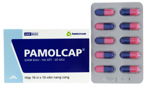 Pamolcap (Chlorpheniramine + Caffeine + Paracetamol)