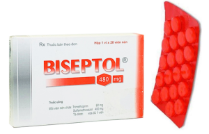 Biseptol 480 (Sulfamethoxazole + Trimethoprim)