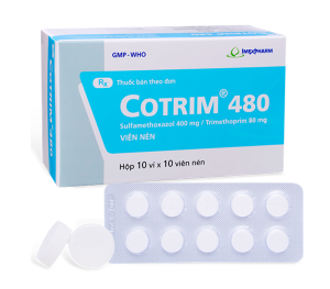 Cotrim 480 (Sulfamethoxazole + Trimethoprim)
