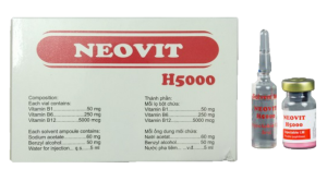 Neovit H5000 (Vitamin B1 + Vitamin B6 + Vitamin B12)
