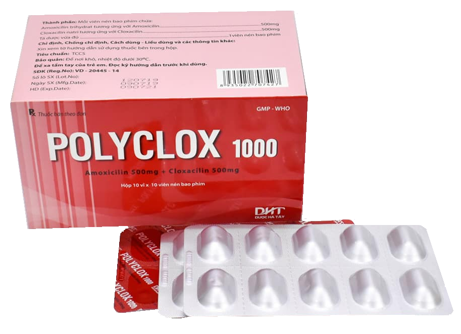 Polyclox 1000 (Amoxicillin + Cloxacillin)