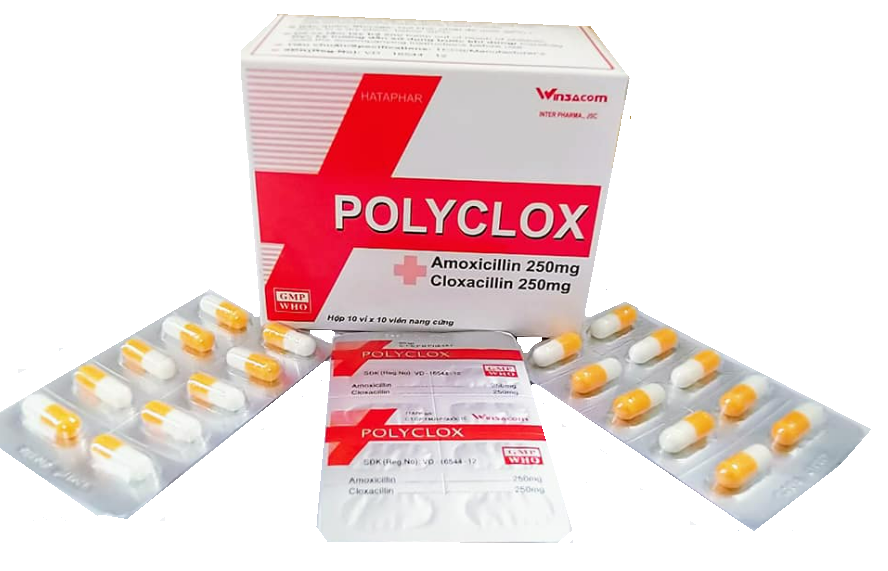 Polyclox (Amoxicillin + Cloxacillin)