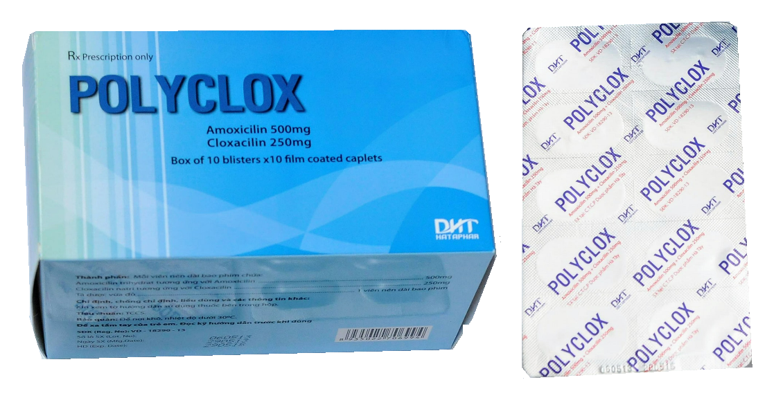 Polyclox (Amoxicillin + Cloxacillin)
