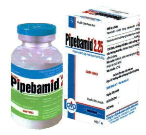Pipebamid 2,25 (Piperacillin + Tazobactam)