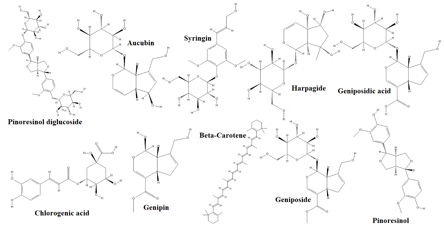 Cấu trúc hóa học một số hoạt chất có trong Đỗ trọng (Eucommia ulmoides Oliv).
